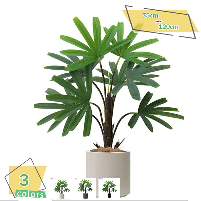 1000円OFFクーポン 大型 人工観葉植物 フェイクグリーン 軽量 プラスチック製 鉢付き 観葉植物 フェイク植物 フェイクグリーン 明るく爽やか 人工観葉植物 スモール 屋内用 リアル 明るく爽やか インテリアグリーン 常緑樹 人工観葉植物 お祝い RaogtCYU