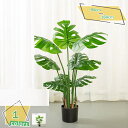 2000円OFFクーポン 馬酔木 フェイクグリーン 人工観葉植物 緑の植物 観葉樹 フェイク 大型 造木 簡単保 水やり不要 害虫駆除不要 室内 家庭 日よけバ...