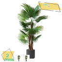 3500円OFFクーポン 大型 人工観葉植物 フェイクグリーン 軽量 プラスチック製 鉢付き 観葉植物 フェイク植物 フェイクグリーン 明るく爽やか 人工観葉植...