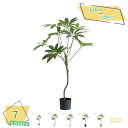 3500円OFFクーポン 人工観葉植物 大型 常緑樹 フェイクグリーン 人工観覧植物 観葉植物 目隠し 室内用 オフィス 室内 インテリア 鉢植え おしゃれ 人...