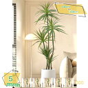3500円OFFクーポン フェイクグリーン 大型 人工観葉植物 目隠し 鉢植え 人工観葉植物 観葉植物 フェイク ふぇいくぐりーん 観葉樹 フェイクグリーン イ...