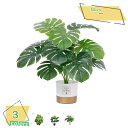 500円OFFクーポン 人工観葉植物 フェイクグリーン 観葉植物 造花 大型 インテリア おしゃれ ホテル ルーム お祝い 開店 開業祝い リアル フェイクグリ...