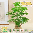 人工観葉植物 フェイクグリーン 観葉植物 造花 大型 インテリア おしゃれ ホテル ルーム お祝い 開店 開業祝い リアル フェイクグリーン 人工観葉植物 大型...