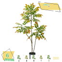 3500円OFFクーポン 人工観葉植物 大きい 本物そっくり 造木 目隠し フェイクグリーン 大型 人工植物 インテリア 観葉植物 リビング 会議室 人工植物 ...