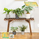 1000円OFFクーポン フラワースタンド 木製 3段 ガーデンラック 大型 幅70cm フラワーラック 園芸ラック 植物棚 肉植物 観葉植物 室内/屋外/ベラ...