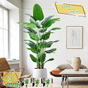 3500円OFFクーポン 人工観葉植物 大きい フェイクグリーン インテリア飾り おしゃれ 枯れない 人工樹木 フェイク植物 造木 人工観葉植物 フェイクツリー...