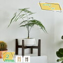 760円OFFクーポン ポットスタンド プランタースタンド 花台 フラワースタンド 鉢スタンド 鉢植え ラック 観葉植物 ブラウン フラワー スタンド 木製 室...