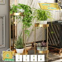 1000円OFFクーポン 北欧 フラワースタンド 室内 スリム 花 スタンド アイアン 直径 25 高さ 60 ガーデニング スリムラック 鉢 プランター 北欧...