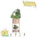 1600円OFFクーポン プランタースタンド アイアン 花台 玄関 フラワースタンド 室内 おしゃれ 57.5cm 観葉植物 棚 2段 フラワーラック 白 ホワ...