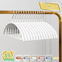 1000円OFFクーポン ステンレス ハンガー すべらない 洗濯 ハンガー 頑丈 すべらない 錆びにくい 曲がらない おしゃれくぼみ付 シルバー 10本セット ステンレス 錆びない スリム 軽量 シルバー インテリア スリム 乾湿両用 ブラック レディース RaogtCYU