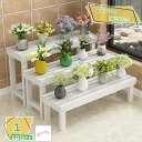 1000円OFFクーポン フラワースタンド 1段 ガーデンラック 鉢植え 観葉植物 スタンド 天然木 木製 ガーデニング 花台 ガーデン アンティーク かわいい...