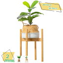 760円OFFクーポン フラワースタンド 木製 花台 鉢スタンド 観葉植物 台 プランター プラントスタンド 屋外室内 植木鉢台 竹 ポットスタンド 室内 屋外...