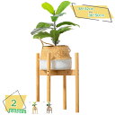 500円OFFクーポン フラワースタンド 室内 プランタースタンド 観葉植物 フラワースタンド 屋外 ベランダ 植木鉢台 天然竹製 花台 植木鉢台 鉢置き台 原...