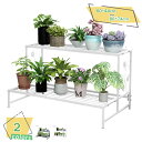760円OFFクーポン フラワーラック フラワースタンド 3段 幅60cm奥行き66cm高さ74cm 金属製 多肉植物 棚 花台 園芸ラック ガーデン 植物小屋...