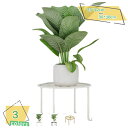 300円OFFクーポン フラワースタンド 室内 おしゃれ 観葉植物 玄関先 鉢 鉢置き スタンド 植木鉢台 猫足 ガーデニング雑貨 花台 飾り台 ガーデニング ...