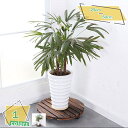 500円OFFクーポン 木製鉢置き 丸型キャスター付 30×30cm 花台 車輪つき プランタースタンド キャリー ウッド プランター インテリア 鉢台 室内 持ち運びに便利な車輪付き 小回り効く 木製花台 プランター フラワースタンド 植木鉢台 木製鉢置台 2セット RaogtCYU