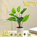 460円OFFクーポン フェイクグリーン 人工観葉植物 観葉植物フェイク 造花 小さい マルチカラー ミニ 造花 お祝い ギフト プレゼント 誕生日 開店 開院...