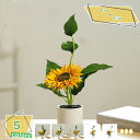 460円OFFクーポン ミニ 人工観葉植物 フェイクグリーン インテリア 和風 卓上 ミニ プレゼント ギフト 卒業式 誕生日 ウェディング 飾り 撮影 美術館...
