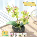 フェイクグリーン 胡蝶蘭 人工観葉植物 寄せ植え植物 おしゃれ パステルカラー アーティフィシャル カラフル 人工観葉植物 フェイクグリーン 造花 サボテン 寄...