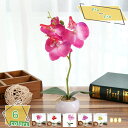 460円OFFクーポン 人工観葉植物 蘭 ラン ポット付き インテリアグリーン ラウンドポット キューブポット 観葉植物 フェイクグリーン まあるい ミニ 鉢植...