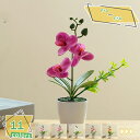 観葉植物 インテリアグリーン ミニ フェイクグリーン ミニ鉢植え リアル 小さめ おしゃれ 小さい 枯れない 造花 コンパクト ラウンドポット 丸型 イミテーシ...
