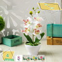 460円OFFクーポン 人工観葉植物 マルチカラー ミニ 胡蝶蘭 インテリア 撮影 ピンク 本物そっくり キッチン オフィス 喫茶店 季節飾り 撮影小道具 誕生...