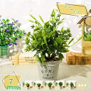 760円OFFクーポン 観葉植物 インテリアグリーン ミニ フェイクグリーン 鉢植え リアル 小さめ おしゃれ 枯れない コンパクト ラウンドポット 丸型 イミ...