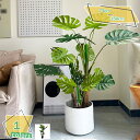 フェイクグリーン 観覧植物 人工観葉樹 観葉植物 シンプル フェイク観葉植物 大型 人工観葉植物 室内用 オフィス 室内 インテリア飾り おしゃれ インテリア飾...
