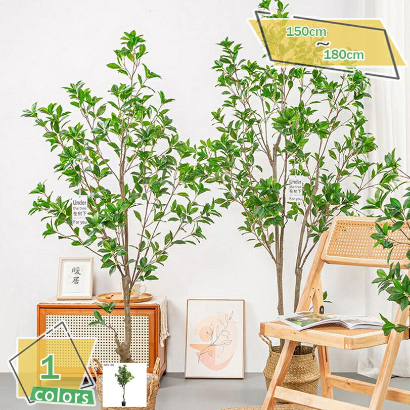 メイン素材：プラスチック、鉄【1、】黒い鉢のみ、写真の植木鉢は別途購入する必要があります。お部屋のコーディネイトに癒しを加えてみませんか。植物は、主役ではないけどお部屋の彩りを豊かにしてくれ、心地よい空間を演出する重要なお仕事をしていてくれ...