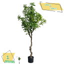 3500円OFFクーポン 人工観葉植物 フェイクグリーン 大型 大きい 手入れのいらない 手軽な観葉植物 お部屋 雰囲気作り 事務所 インテリア リビング飾り ...