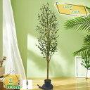3500円OFFクーポン フェイクグリーン 人工観葉植物 インテリア 人工観葉 人工観葉植物 フェイクグリーン 観葉植物 大型 インテリア おしゃれ オフィス ...