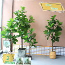 3500円OFFクーポン 人工観葉植物 フェイクグリーン 大きい インテリア 玄関 オフィス リビング インテリアグリーン 観葉植物 アートグリーン お手入れ簡...