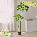3500円OFFクーポン 人工観葉樹 人工観葉植物 フェイクグリーン 大型 本物そっくり フェイク観葉植物 シンプル おしゃれ 世話いらず 水やり不要 オフィス...