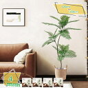 3500円OFFクーポン フェイクグリーン 人工観葉植物 おしゃれ リアル 人工観葉植物 人工植物 インテリア リビング 玄関 開店 かわいい キッチン リビン...