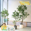 1000円OFFクーポン フェイクグリーン 観葉植物 フェイク 人工観葉植物 大型 インテリア リアル おしゃれ フェイクグリーン インテリア 大型 観葉植物 人工植物 インテリア 水やり不要 お世話不要 新築祝い 母の日 父の日 ギフトお祭り 贈り物 RaogtCYU