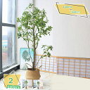 3500円OFFクーポン 人工観葉植物 おしゃれ リアル フェイクグリーン 大型 インテリア ベランダ 飾り用 お店 置物 デコレーション 庭園 オフィス モダ...