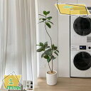 3500円OFFクーポン フェイクグリーン 人工観葉植物 鉢付き フェイク 造花 室内 ホーム ベランダ 飾り用 大型 インテリア お手入れ不要 水遣り不要 虫...