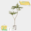 3500円OFFクーポン フェイクグリーン 人工植物 目隠し 人工観葉植物 大型 室内 お部屋 リビング 玄関 インテリア 水やり不要 かわいい 雰囲気作り お...