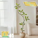 2000円OFFクーポン フェイクグリーン 観葉植物 フェイク 人工観葉植物 大型 インテリア リアル おしゃれ フェイクグリーン インテリア 大型 観葉植物 人工植物 インテリア 水やり不要 お世話不要 新築祝い 母の日 父の日 ギフトお祭り 贈り物 RaogtCYU(4)
