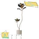 1000円OFFクーポン 人工観葉植物 フェイク 大型 フェイクグリーン 造花 人工樹木 フェイク植物 インテリア 室内 屋外 インテリア 人工観葉植物 水やり...