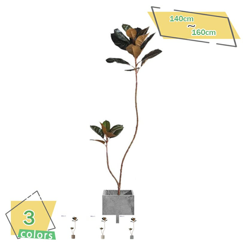 2000円OFFクーポンフェイクグ...