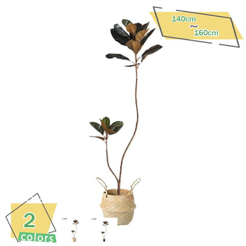 1000円OFFクーポン 人工観葉植物 フェイクグリーン 大きい インテリア 玄関 オフィス リビング アートグリーン インテリアグリーン 観葉植物 引っ越し祝い 新築祝い お手入れ簡単 水やり不要 鉢植え 常緑樹 ナチュラル 緑のある暮らし 人工植物 RaogtCYU