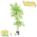 777円OFFクーポン 人工観葉植物 人工植物 フェイクグリーン 大きい 造花 インテリアグリーン ユッカ 観葉樹 アートグリーン 開店祝い 美容院 贈答用 お手入れ不要 鉢植え 引越し祝い 新築祝い リビング 人工植木 常緑樹 ナチュラル 人工観葉樹 RaogtCYU
