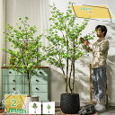 フェイクグリーン 鉢付き 人工観葉植物 人工観葉樹 大型 シンプル おしゃれ インテリア リビング 玄関 インテリア飾り 鉢植え 開店 新築 引越し 祝い プレ...
