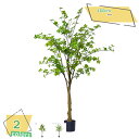 3500円OFFクーポン フェイクグリーン 人工観葉植物 フェイク グリーン 人工観葉植物 人工植物 インテリア リビング 玄関 開店 かわいい キッチン リビ...