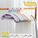 1000円OFFクーポン ハンガー 洗濯 収納 20本組 衣類ハンガー ノンスリップハンガー 超薄型 滑らないハンガー 複数収納連結タイプ 超強い荷重 頑丈 コート用 PP ホテル用 シルバー RaogtCYU