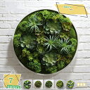 3500円OFFクーポン 人工観葉植物 フェイクグリーン ハンギング ウォールグリーン 多肉植物 ミニ 室内 ホーム 庭 トイレ オフィス 玄関 寝室 サボテン 多肉植物 ガーデニング お世話不要 デコレーション 植物鉢植え 苔玉 麻ひも 造花 壁掛け 多肉鉢植え RaogtCYU