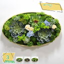 3500円OFFクーポン 人工観葉植物 リアル フェイクグリーン 室内用 壁掛け かわいい ミニ 多肉植物 造花 正方形 ミニグリーン 玄関 家庭 オフィス キッチン トイレ かわいい おしゃれ お手入れ不要 インテリア 人工観葉植物 インテリア 人工多肉植物 RaogtCYU