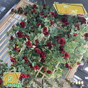 造花 人工観葉植物 藤の花 壁掛け フェイクグリーン 造花 藤の花 人工偽藤 おしゃれ つり下げ 花飾り インテリア飾り 吊り下げ 人工観葉植物 装飾 造花 オ...