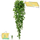 1600円OFFクーポン 壁掛け フェイクグリーン 人工観葉植物 藤 緑葉 造花 天井 吊り下げ インテリア アンティーク フェイク 壁掛 植物装飾 結婚式 パーティー 装飾 枯れない ショップ 図書館 ホーム オフィス カフェ 学校 人工観葉植物 RaogtCYU